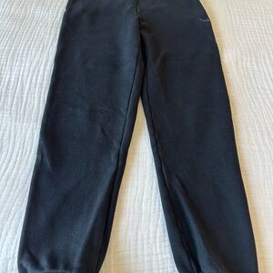 Aritzia cozy fleece sweatfleece perfect fit joggers